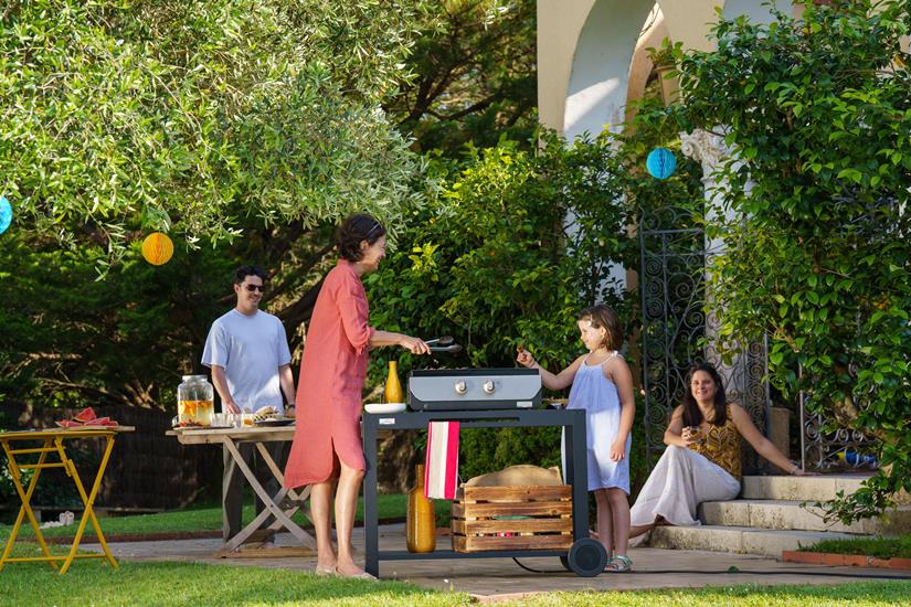 PLANCHA ORIGINAL ELECTRIQUE 260 DUO