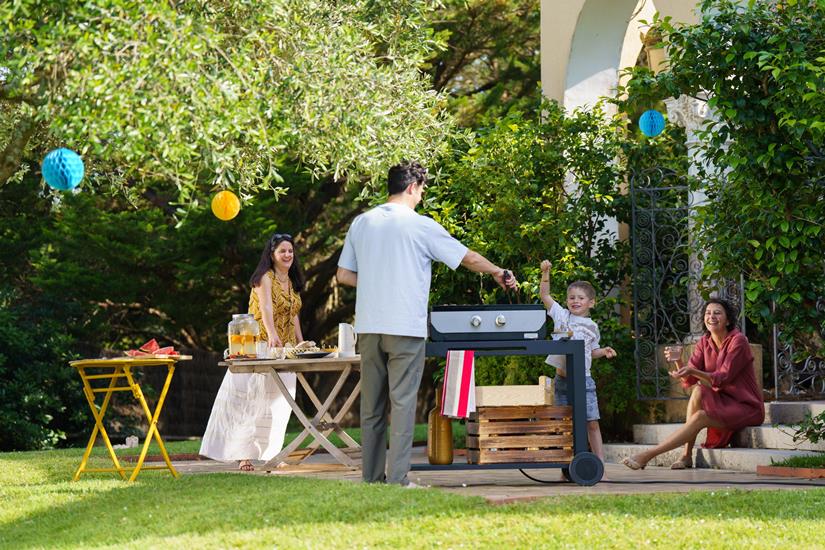 PLANCHA ORIGINAL ELECTRIQUE 260 DUO