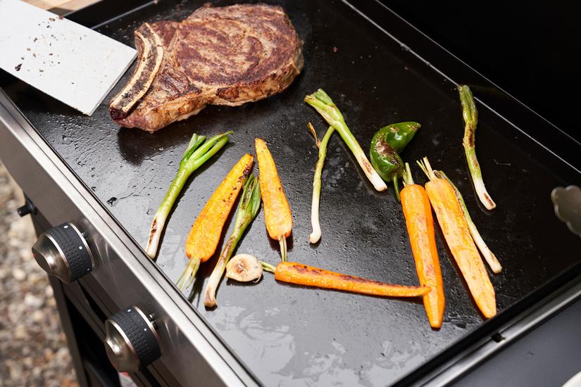 PLANCHA ORIGINAL GAZ 260 DUO