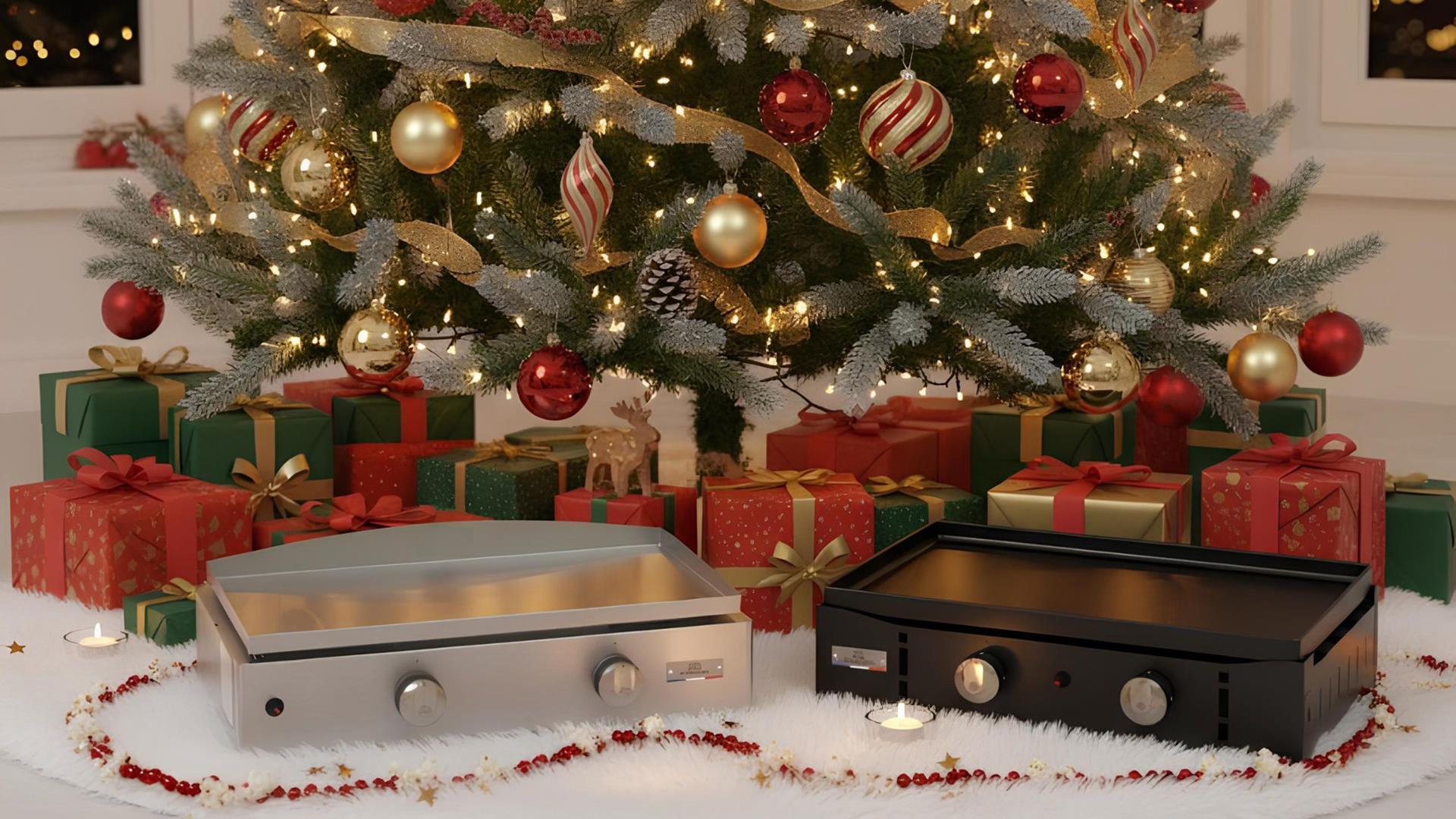 OFFRE DE NOEL, 299€ LA PLANCHA